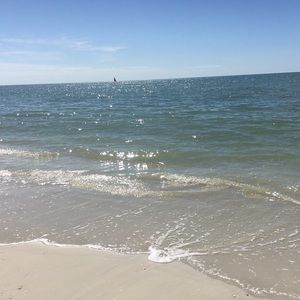 Meet your Posher, Bridget